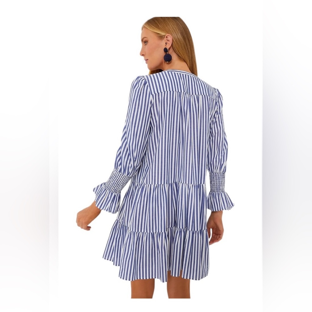 Tuckernuck Blue and White Striped Tiered Mini Dress - Picture 3 of 16